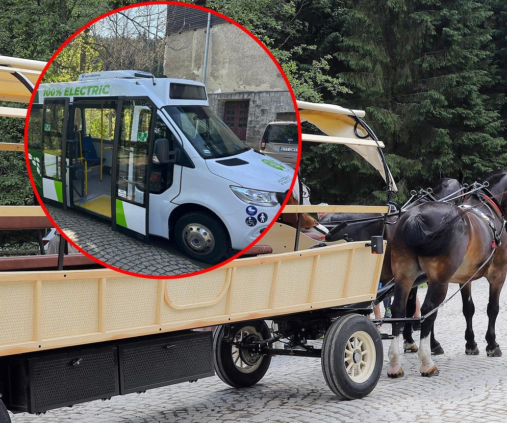 Przez elektrycznego busa koniom grozi straszna śmierć! Górale chcą je wysłać do rzeźni