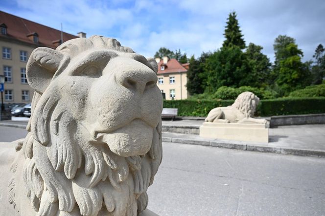 Koszalińskie lwy odzyskały dawny blask