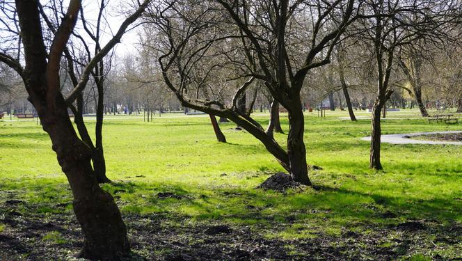 Słoneczny pierwszy dzień wiosny w Parku Ludowym w Lublinie