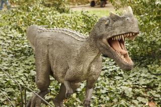 Dinozaury opanowały wrocławski ogród botaniczny [ZDJĘCIA, WIDEO]