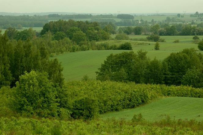 Park Krajobrazowy Wzniesień Łódzkich