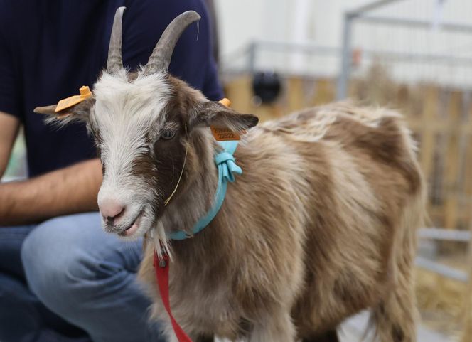 ZooPark ponownie przyciągnął do Targów Lublin tłumy miłośników zwierząt