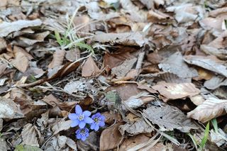 Piekiełko, powiat wejherowski