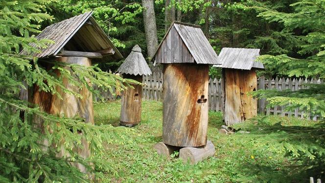 Pierwsze powojenne muzeum pod otwartym niebem powstało w Małopolsce. To tu kręcono słynne filmy