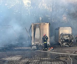 Łódź. Ogromny pożar ciężarówek i składowiska palet. Dramat na ul. Starorudzkiej [ZDJĘCIA].