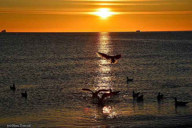 Tak wygląda wschód na sopockiej plaży