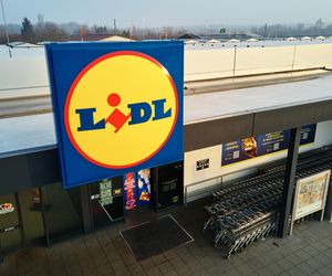Promocje na upały w Lidlu