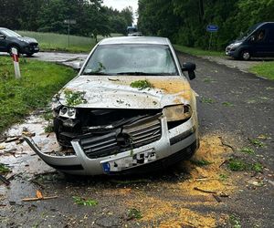 Potężne burze nad Polską. Drzewa spadały na samochody, setki interwencji straży pożarnej 