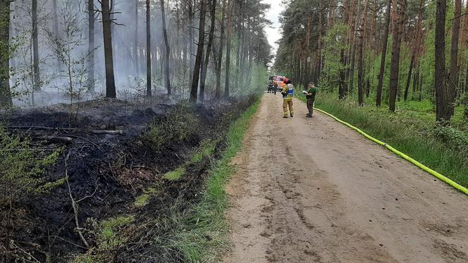 Podpalacz grasuje pod Pleszewem?! "Ktoś chyba świetnie się bawi"