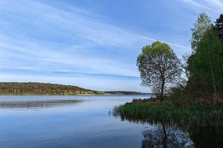 Liczba utonięć 2024