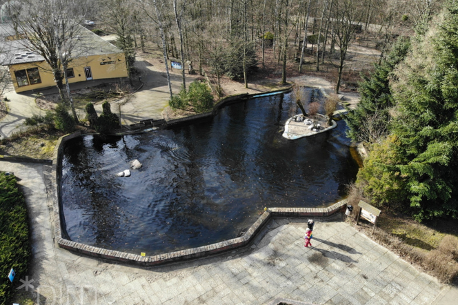 Basen dla fok w poznańskim ZOO