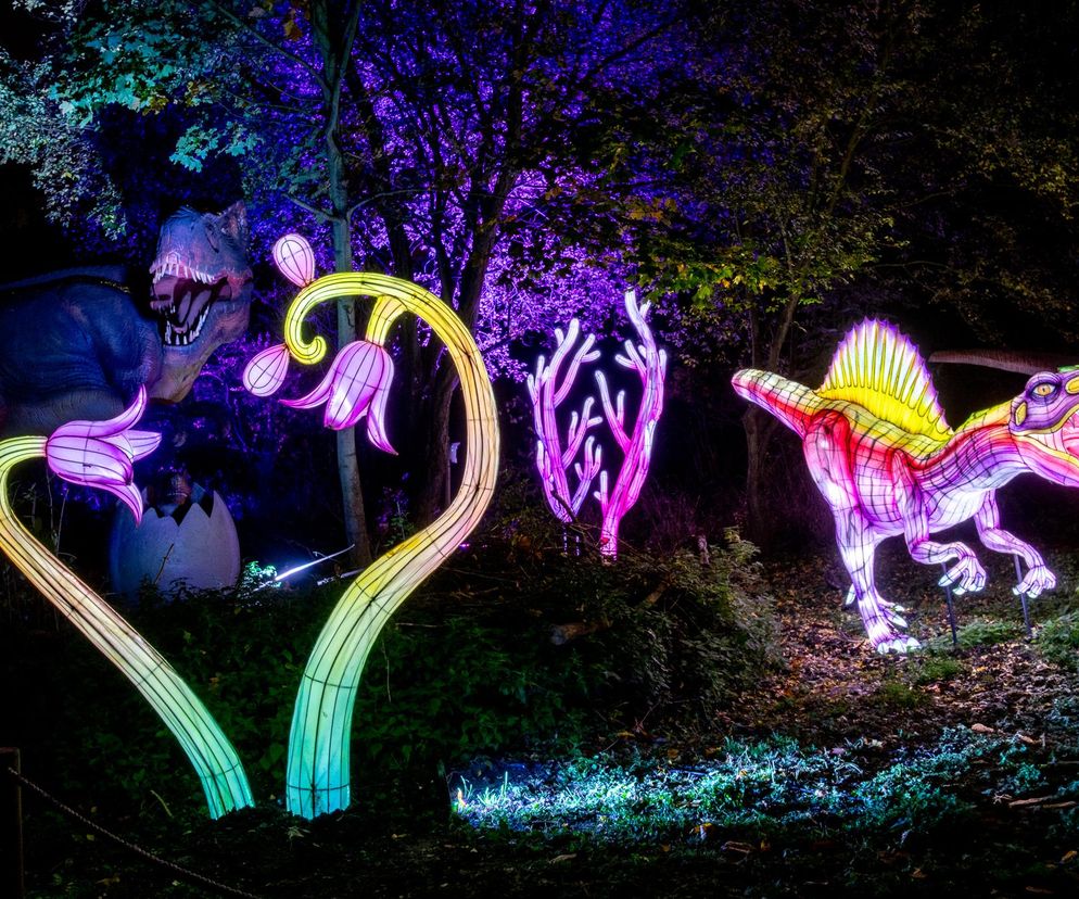 Bydgoszcz rozświetlą dzikie stworzenia. Lumina Park w Myślęcinku otwiera się 31 października 2025