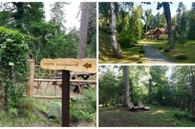 Leśne Arboretum w Kudypach. Jedno z piękniejszych miejsc na Warmii [ZDJĘCIA]