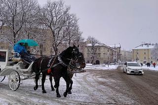 Kraków cały w śniegu 2022. Tak wygląda stare miasto podczas zimy