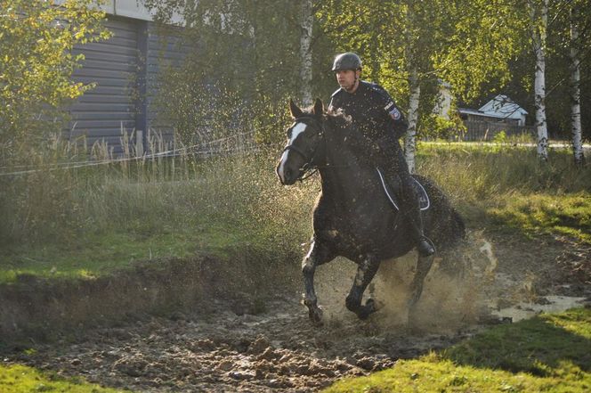 Policyjne konie zdały egzamin!