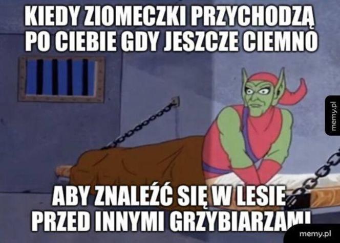 Nóż się w kieszeni otwiera i Janusz i szykuje się na grzyby! MEMY o grzybobraniu [GALERIA]