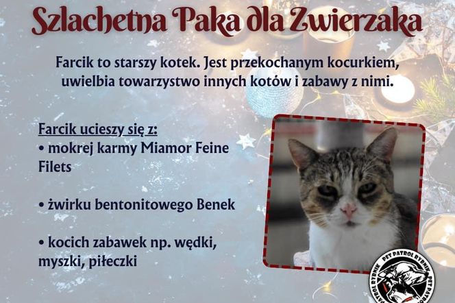 Pet Patrol Rybnik organizuje akcję Szlachetna Paka dla Zwierzaka 