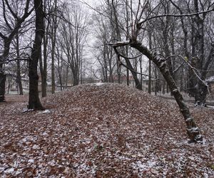 Pierwsze opady śniegu w listopadzie 2024 w dzielnicy Bronowice w Lublinie