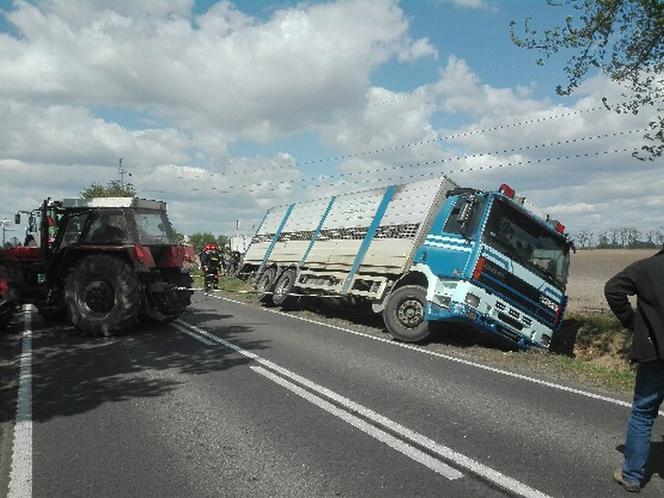 Wypadek z udziałem zwierząt pod Kruszwicą. Są utrudnienia!