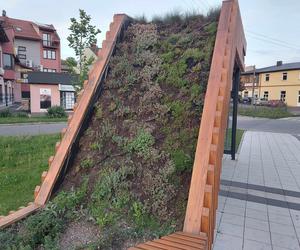 Kolejne 22 tysiące na zielone wiaty w Starachowicach