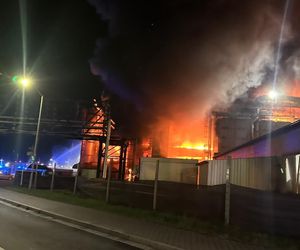 Pożar hali w Szczecinie