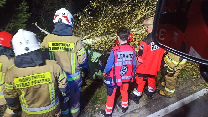 Auto wbiło się w przydrożne drzewo. Strażacy wycinali szybę piłą szablastą 