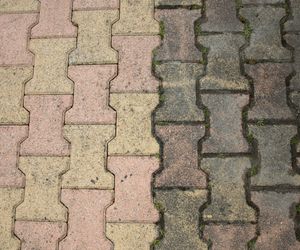 Polej tym kostkę brukową, a na Wielkanoc nikt nie poślizgnie się na mchu. Sposób od angielskich ogrodników na usuwanie mchu z kostki brukowej