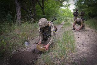 Niezwykły pies-saper jedzie na wojnę! Pomoże ukraińskim żołnierzom szukać min
