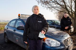 1000 zł za głowę kociego mordercy