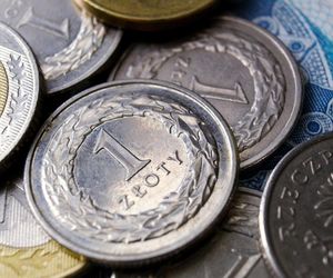 Łodzianie znów mogą zmieniać swoje otoczenie. Rusza nabór do programu mikrograntów
