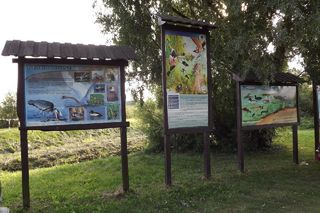 Morąg na zdjęciach