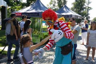 Piknik na Wyspie Słodowej