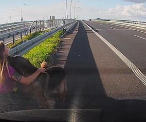 Policjantka z Częstochowy uratowała psy na S5