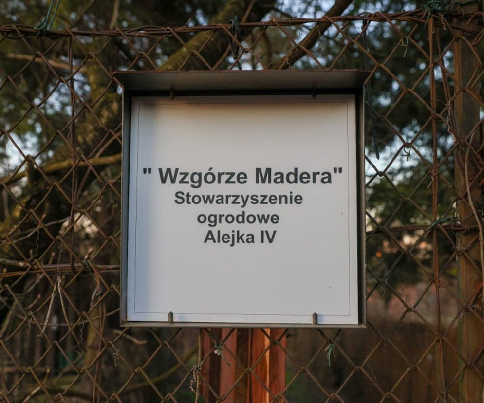 Wzgórze Madery