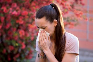 Alergie wiosenne w ciąży. Jak sobie z nimi radzić?