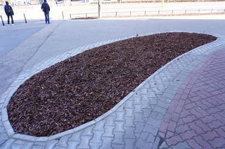 Zielony Skwer na Ursynowie