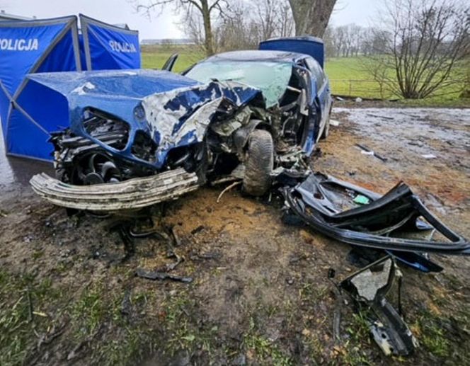 Roztrzaskali się na drzewie. Pasażer nie żyje, kierowca w szpitalu