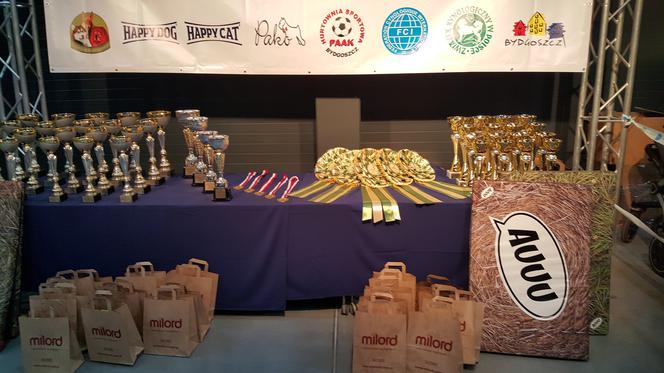 Międzynarodowa Wystawa Psów Rasowych w Bydgoszczy