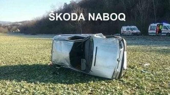 Czeskie memy są najlepsze! Będziecie płakać ze śmiechu