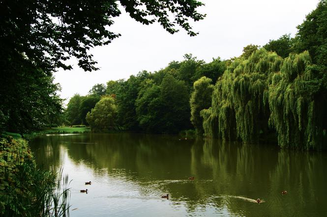 Park Oruński zwyciężył w rankingu