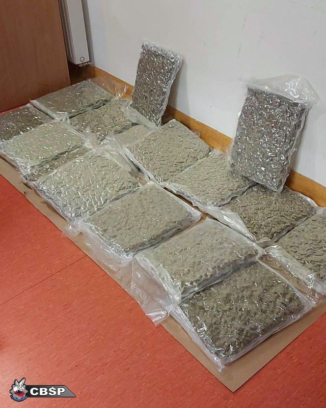 Akcja CBŚP. Pseudokibic zatrzymany