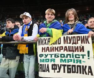 Osiem osób zatrzymanych po meczu Ukraina - Islandia. Policja: Można powiedzieć, że było bezpiecznie