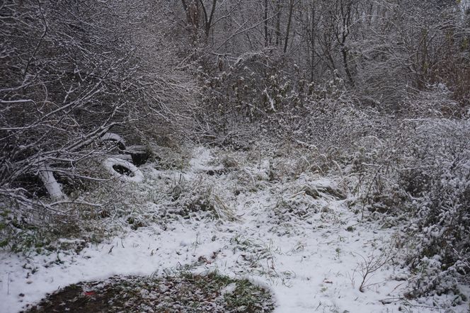 Zima w Świętokrzyskiem. Skarżysko-Kamienna (22.11.2024)