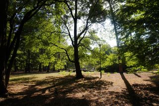 Park Konstytucji 3 Maja