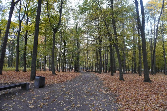 Park Lubomirskich w Białymstoku jesienią 