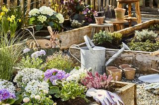 Jakie kwiaty sadzić na wiosnę?