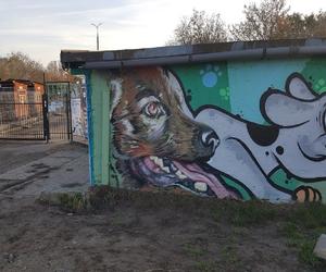 Schronisko musi mieć nowy, ogrzewany budynek dla psów