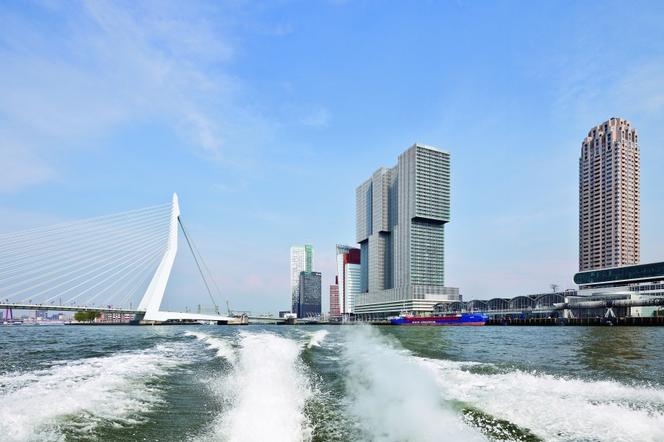 Współczesna architektura Holandii, Rotterdam