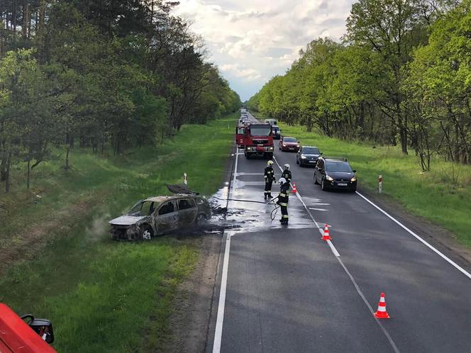 Kujawsko-pomorskie: Pożar samochodu na DK 10. Pojazd słonął doszczętnie! [ZDJĘCIA] 