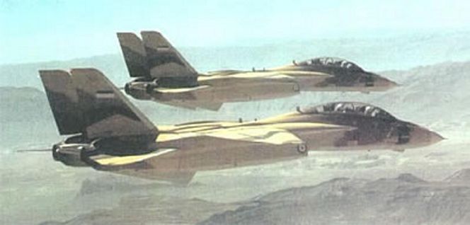 F-14 Tomcat